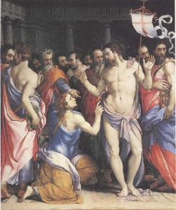 Francesco Salviati The Incredulity of Thomas (mk05)